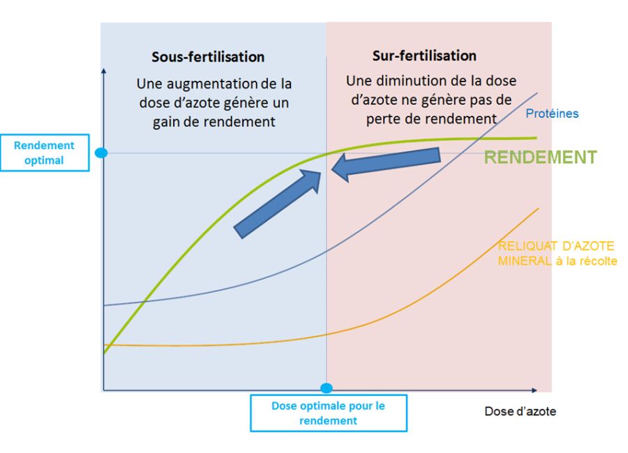 Rendement et Dose Optimake