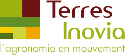 Terra inova logo