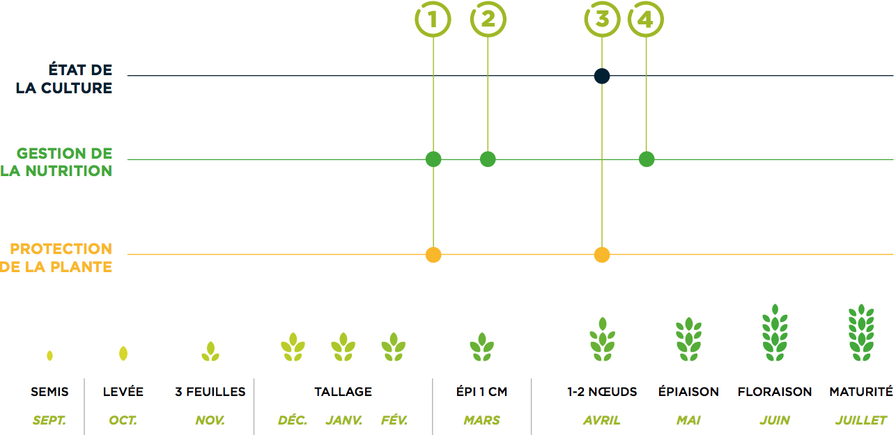 frise_calendrier_NEO