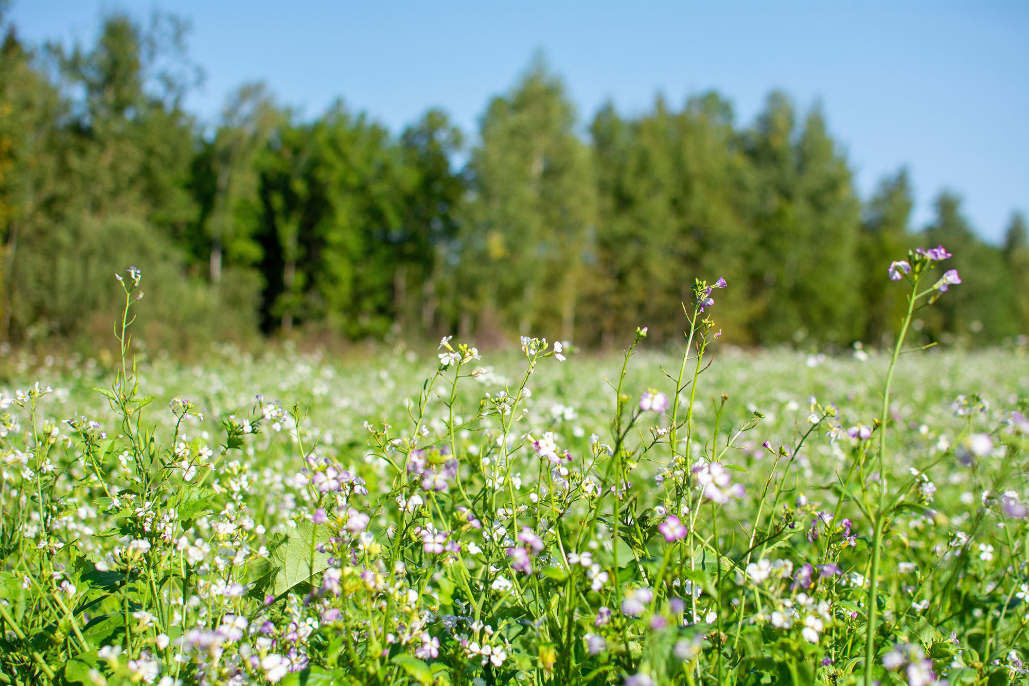 Gestion agronomique de l'azote, tracteur